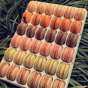 Meet your Posher, Kelsie